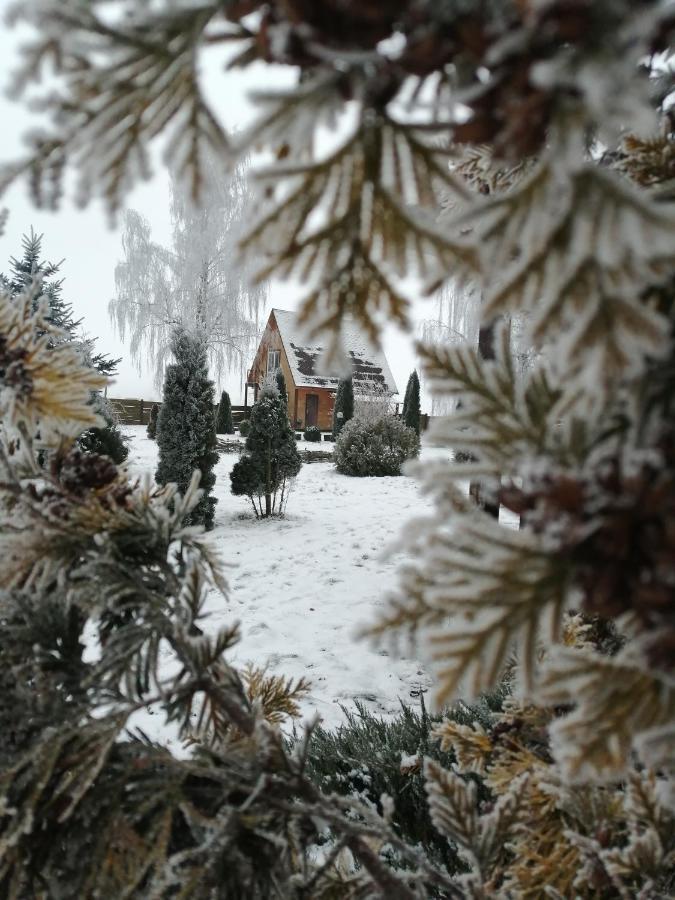 Usadba Kupalinka Hotell Ostrovo Exteriör bild
