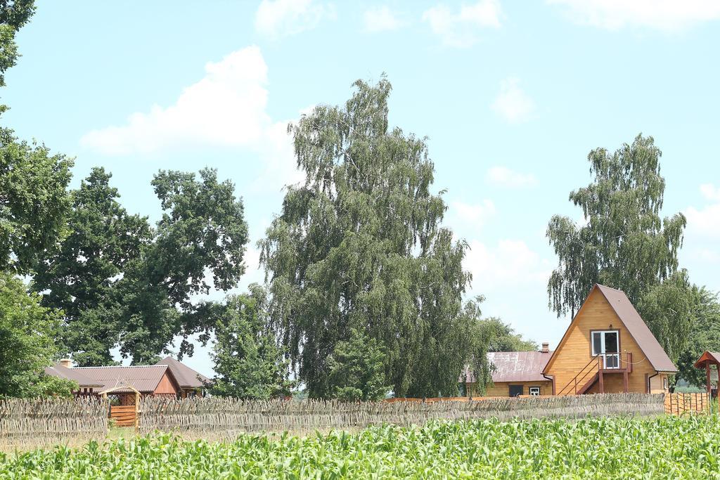 Usadba Kupalinka Hotell Ostrovo Rum bild
